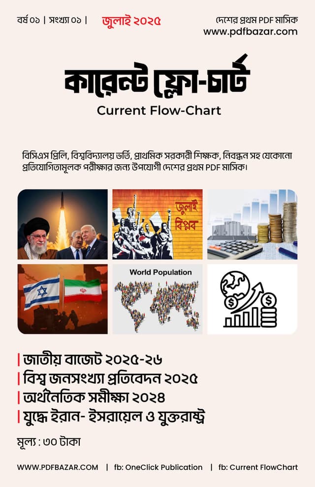 Current FlowChart July 2025